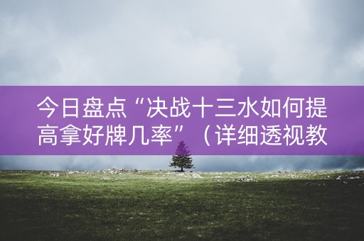 今日盘点“决战十三水如何提高拿好牌几率”（详细透视教程）-哔哩哔哩