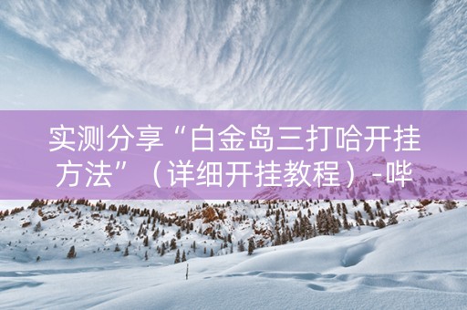 实测分享“白金岛三打哈开挂方法”（详细开挂教程）-哔哩哔哩