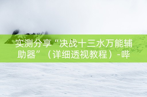 实测分享“决战十三水万能辅助器”（详细透视教程）-哔哩哔哩