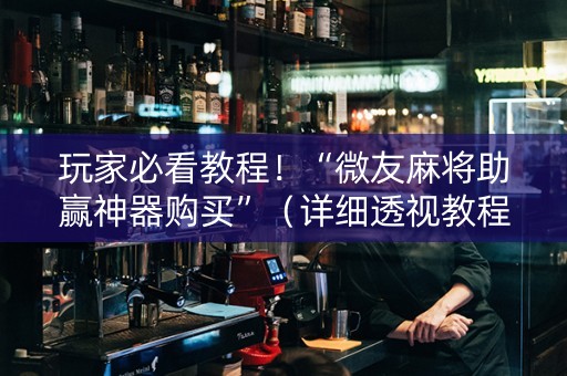 玩家必看教程！“微友麻将助赢神器购买”（详细透视教程）-哔哩哔哩