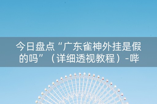 今日盘点“广东雀神外挂是假的吗”（详细透视教程）-哔哩哔哩