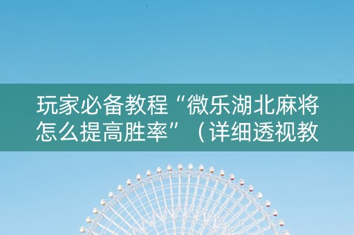 玩家必备教程“微乐湖北麻将怎么提高胜率”（详细透视教程）-哔哩哔哩