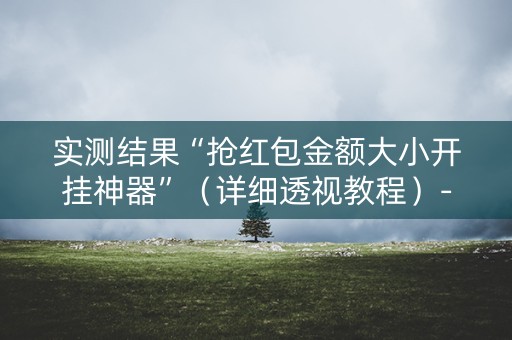 实测结果“抢红包金额大小开挂神器”（详细透视教程）-哔哩哔哩