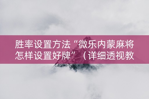 胜率设置方法“微乐内蒙麻将怎样设置好牌”（详细透视教程）-哔哩哔哩