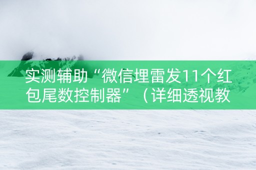 实测辅助“微信埋雷发11个红包尾数控制器”（详细透视教程）-哔哩哔哩