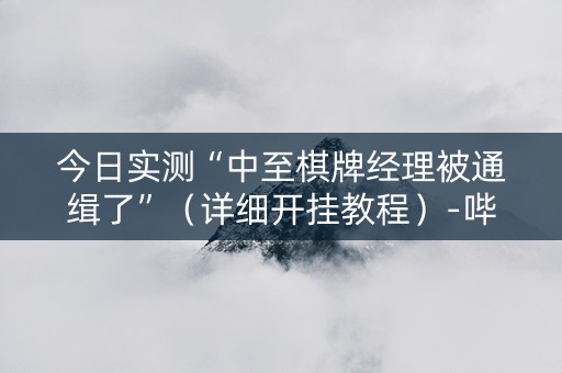 今日实测“中至棋牌经理被通缉了”（详细开挂教程）-哔哩哔哩