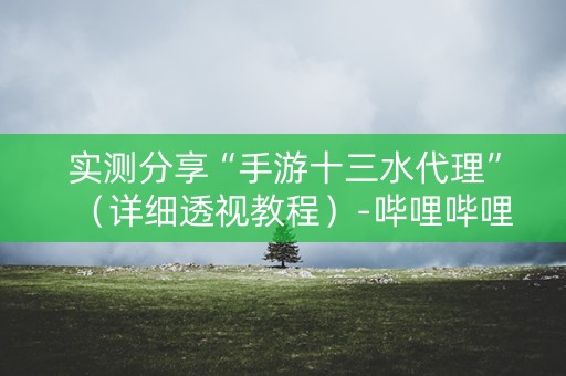 实测分享“手游十三水代理”（详细透视教程）-哔哩哔哩
