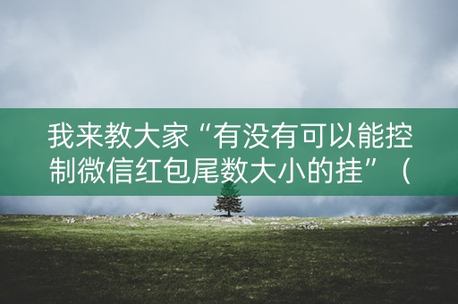 我来教大家“有没有可以能控制微信红包尾数大小的挂”（详细透视教程）-哔哩哔哩
