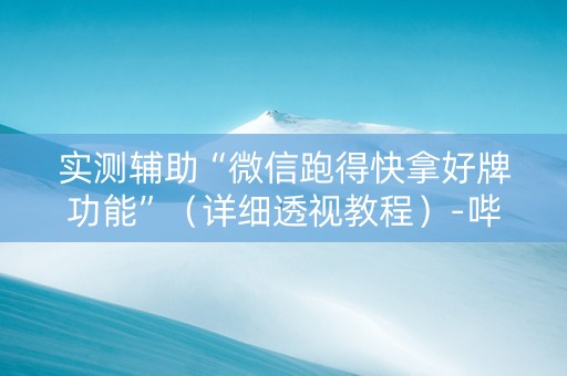 实测辅助“微信跑得快拿好牌功能”（详细透视教程）-哔哩哔哩