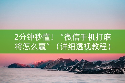 2分钟秒懂！“微信手机打麻将怎么赢”（详细透视教程）-哔哩哔哩