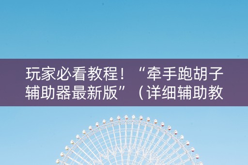 玩家必看教程！“牵手跑胡子辅助器最新版”（详细辅助教程）-哔哩哔哩