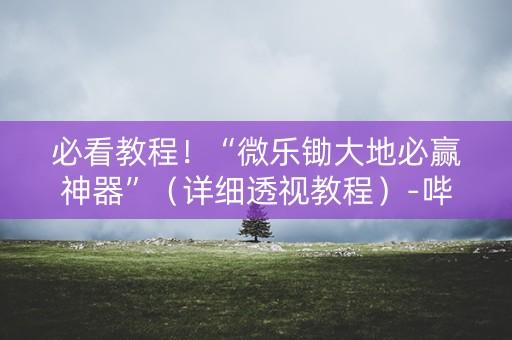 必看教程！“微乐锄大地必赢神器”（详细透视教程）-哔哩哔哩