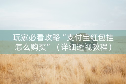 玩家必看攻略“支付宝红包挂怎么购买”（详细透视教程）-哔哩哔哩