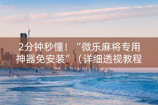 2分钟秒懂！“微乐麻将专用神器免安装”（详细透视教程）-哔哩哔哩