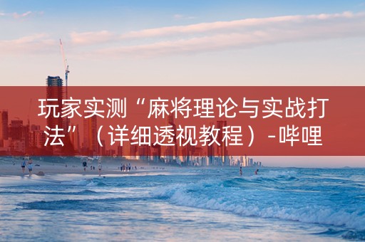 玩家实测“麻将理论与实战打法”（详细透视教程）-哔哩哔哩