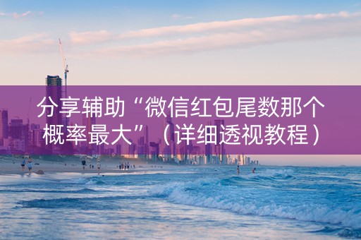分享辅助“微信红包尾数那个概率最大”（详细透视教程）-哔哩哔哩