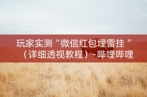 玩家实测“微信红包埋雷挂 ”（详细透视教程）-哔哩哔哩