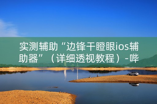 实测辅助“边锋干瞪眼ios辅助器”（详细透视教程）-哔哩哔哩