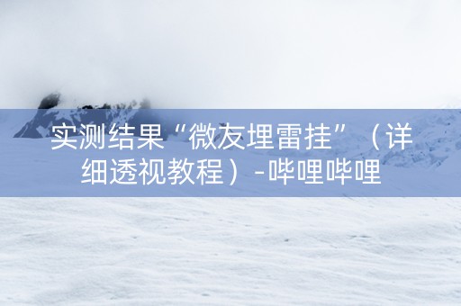 实测结果“微友埋雷挂”（详细透视教程）-哔哩哔哩