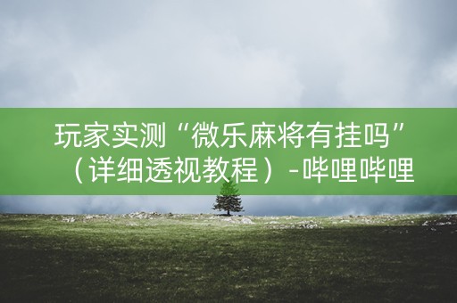 玩家实测“微乐麻将有挂吗”（详细透视教程）-哔哩哔哩