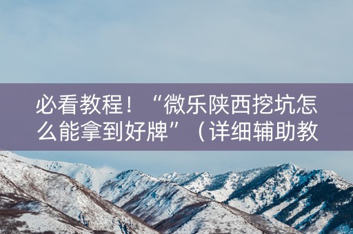 必看教程！“微乐陕西挖坑怎么能拿到好牌”（详细辅助教程）-哔哩哔哩