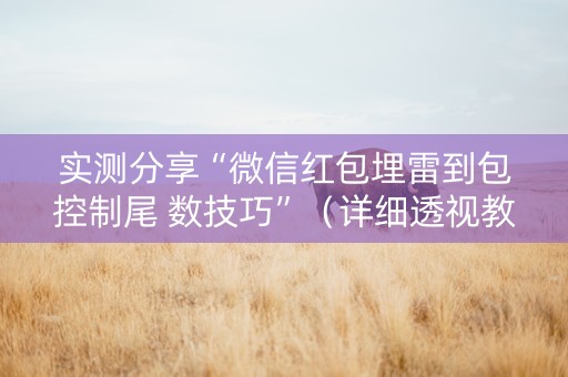 实测分享“微信红包埋雷到包控制尾 数技巧”（详细透视教程）-哔哩哔哩