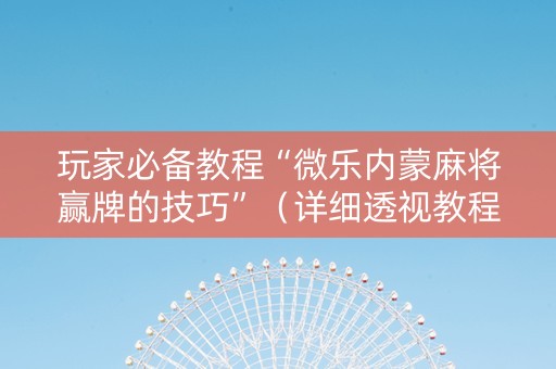 玩家必备教程“微乐内蒙麻将赢牌的技巧”（详细透视教程）-哔哩哔哩