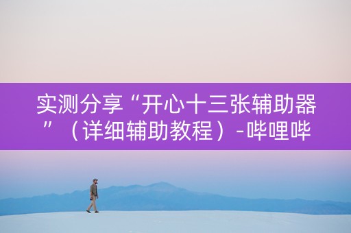 实测分享“开心十三张辅助器”（详细辅助教程）-哔哩哔哩