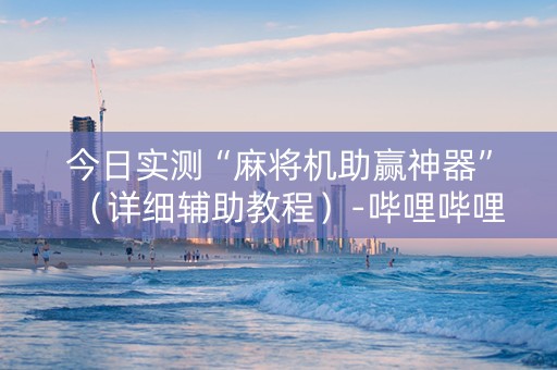 今日实测“麻将机助赢神器”（详细辅助教程）-哔哩哔哩