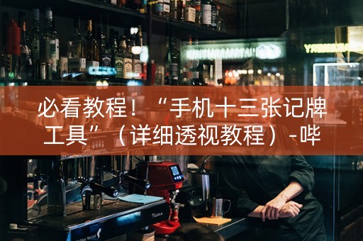 必看教程！“手机十三张记牌工具”（详细透视教程）-哔哩哔哩