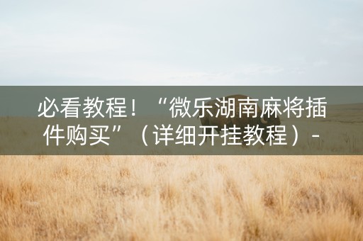 必看教程！“微乐湖南麻将插件购买”（详细开挂教程）-哔哩哔哩
