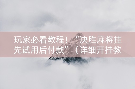 玩家必看教程！“决胜麻将挂先试用后付款”（详细开挂教程）-哔哩哔哩