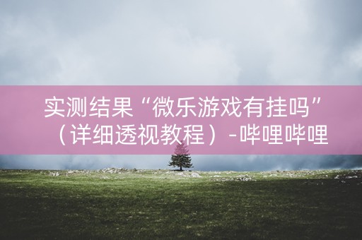 实测结果“微乐游戏有挂吗”（详细透视教程）-哔哩哔哩