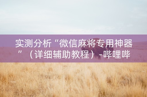 实测分析“微信麻将专用神器”（详细辅助教程）-哔哩哔哩