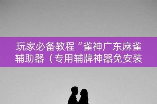 玩家必备教程“雀神广东麻雀辅助器（专用辅牌神器免安装）