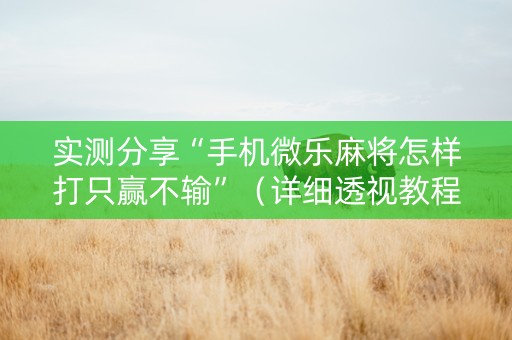 实测分享“手机微乐麻将怎样打只赢不输”（详细透视教程）-哔哩哔哩