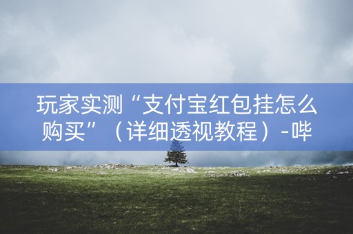 玩家实测“支付宝红包挂怎么购买”（详细透视教程）-哔哩哔哩