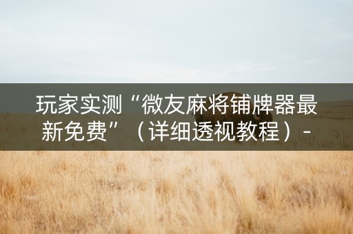 玩家实测“微友麻将铺牌器最新免费”（详细透视教程）-哔哩哔哩