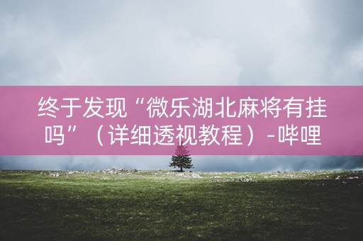 终于发现“微乐湖北麻将有挂吗”（详细透视教程）-哔哩哔哩