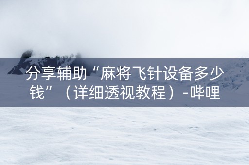 分享辅助“麻将飞针设备多少钱”（详细透视教程）-哔哩哔哩