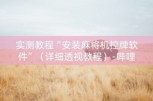 实测教程“安装麻将机控牌软件”（详细透视教程）-哔哩哔哩