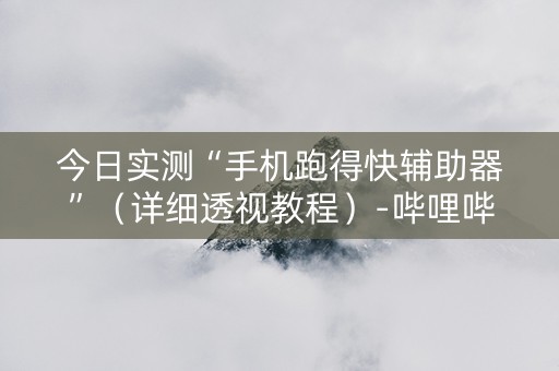 今日实测“手机跑得快辅助器”（详细透视教程）-哔哩哔哩