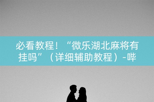 必看教程！“微乐湖北麻将有挂吗”（详细辅助教程）-哔哩哔哩