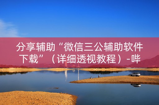 分享辅助“微信三公辅助软件下载”（详细透视教程）-哔哩哔哩