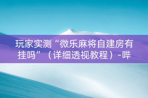玩家实测“微乐麻将自建房有挂吗”（详细透视教程）-哔哩哔哩