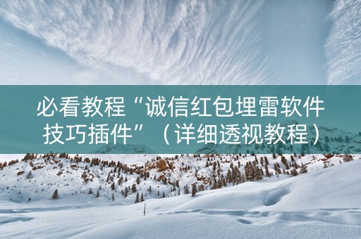 必看教程“诚信红包埋雷软件技巧插件”（详细透视教程）-哔哩哔哩