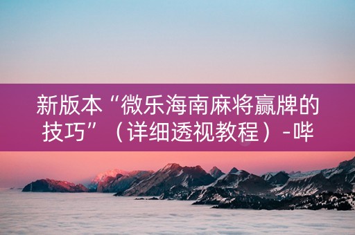 新版本“微乐海南麻将赢牌的技巧”（详细透视教程）-哔哩哔哩