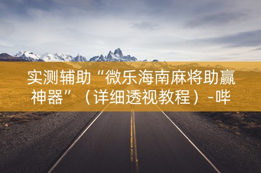 实测辅助“微乐海南麻将助赢神器”（详细透视教程）-哔哩哔哩