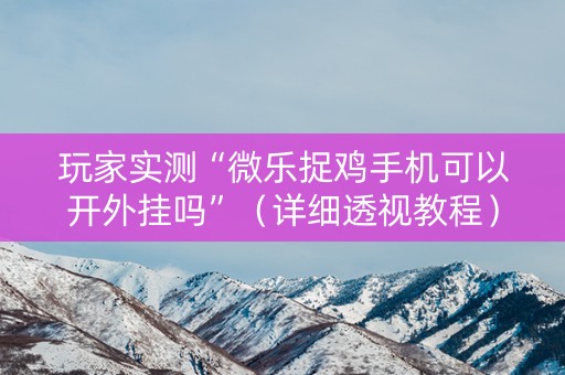 玩家实测“微乐捉鸡手机可以开外挂吗”（详细透视教程）-哔哩哔哩