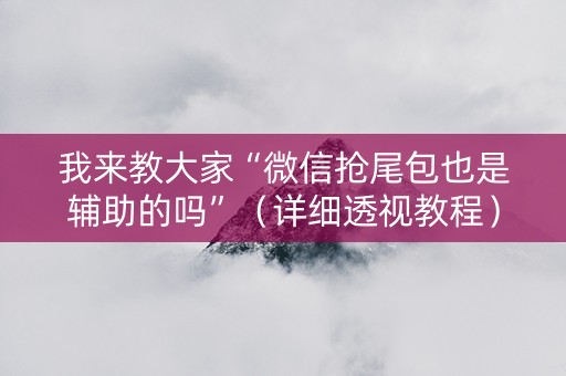 我来教大家“微信抢尾包也是辅助的吗”（详细透视教程）-哔哩哔哩